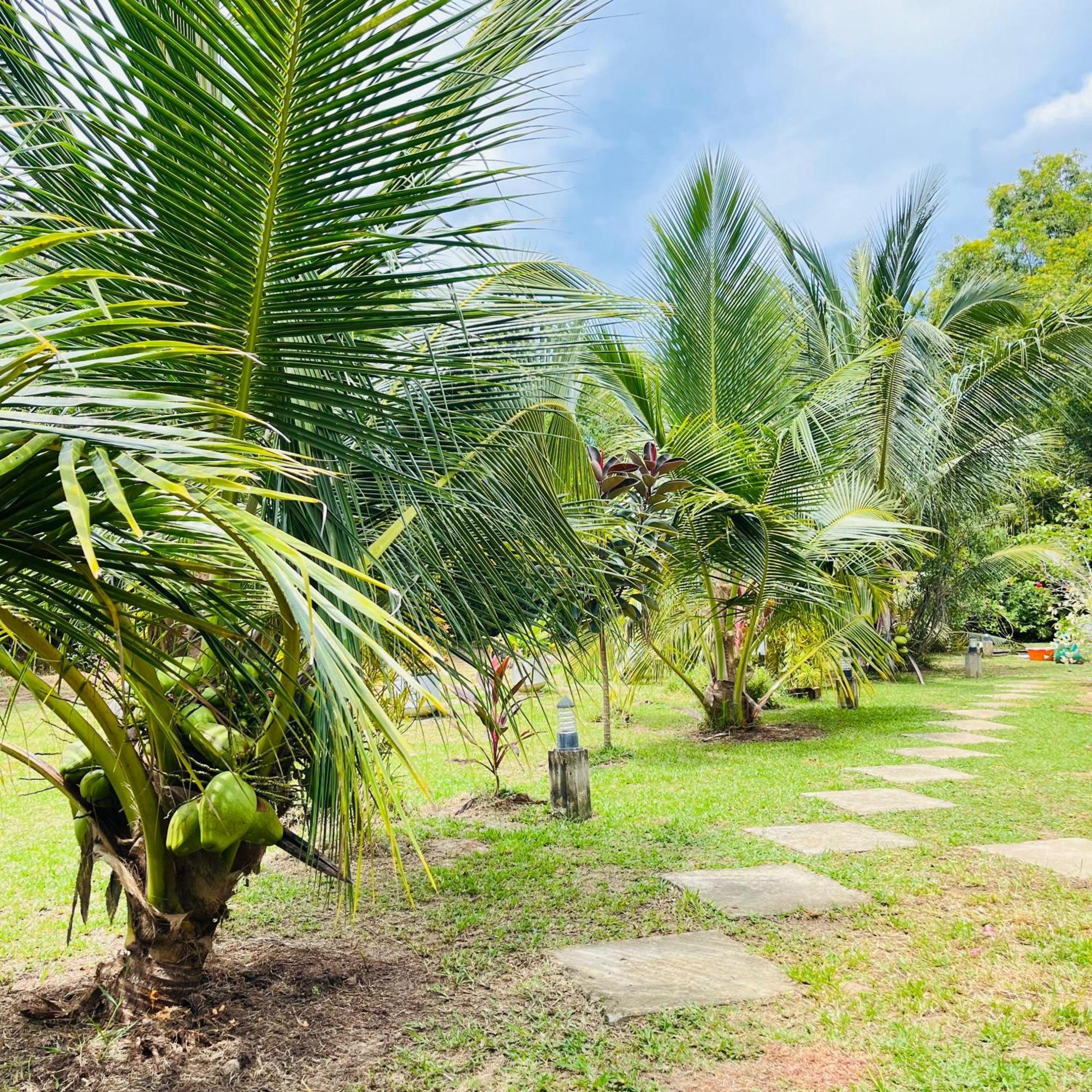 Hanguk Lanka Lagoon Villa Tangalle Kültér fotó