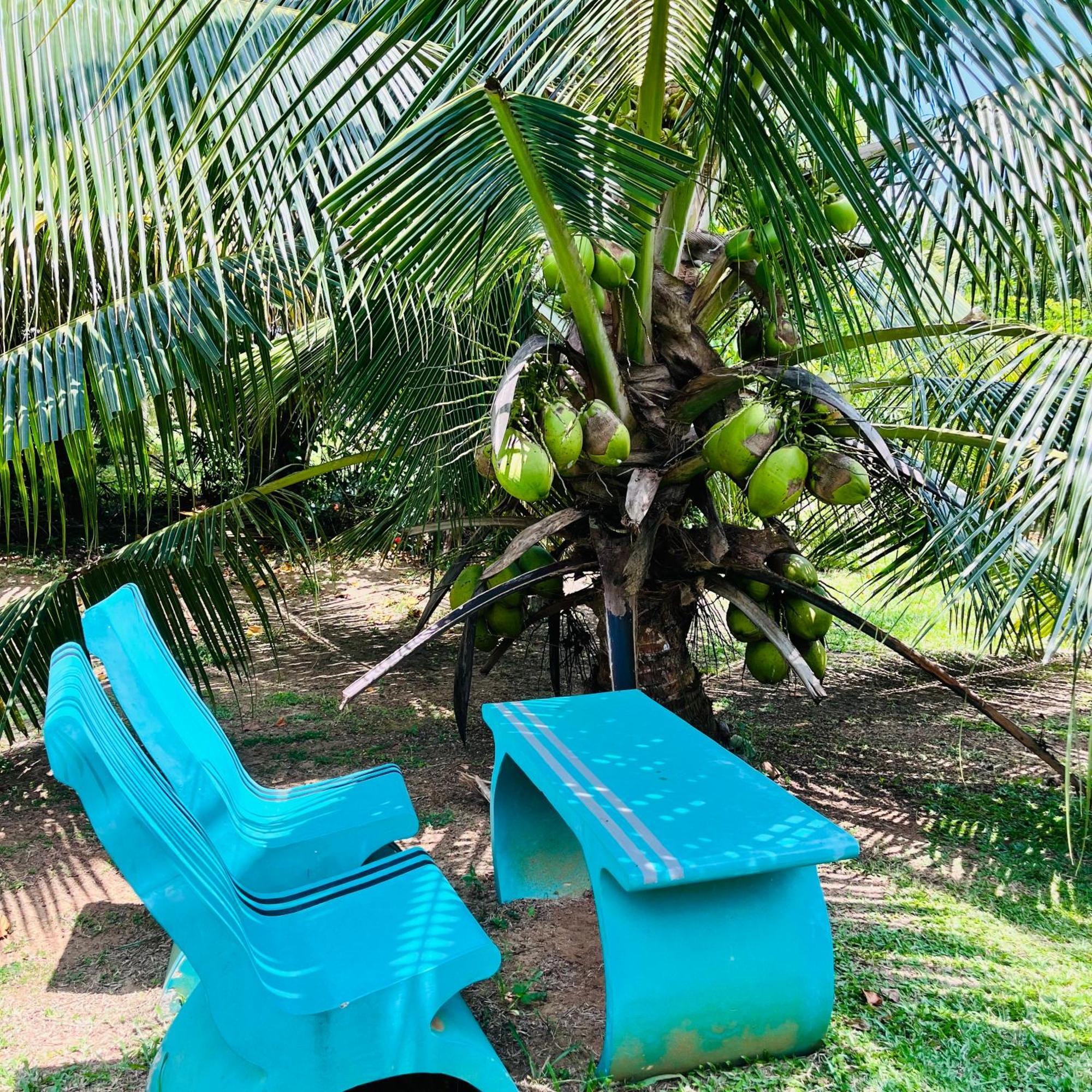Hanguk Lanka Lagoon Villa Tangalle Kültér fotó