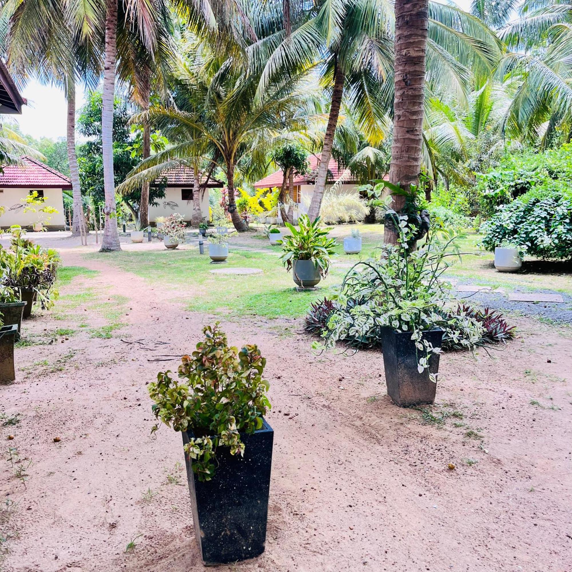 Hanguk Lanka Lagoon Villa Tangalle Kültér fotó
