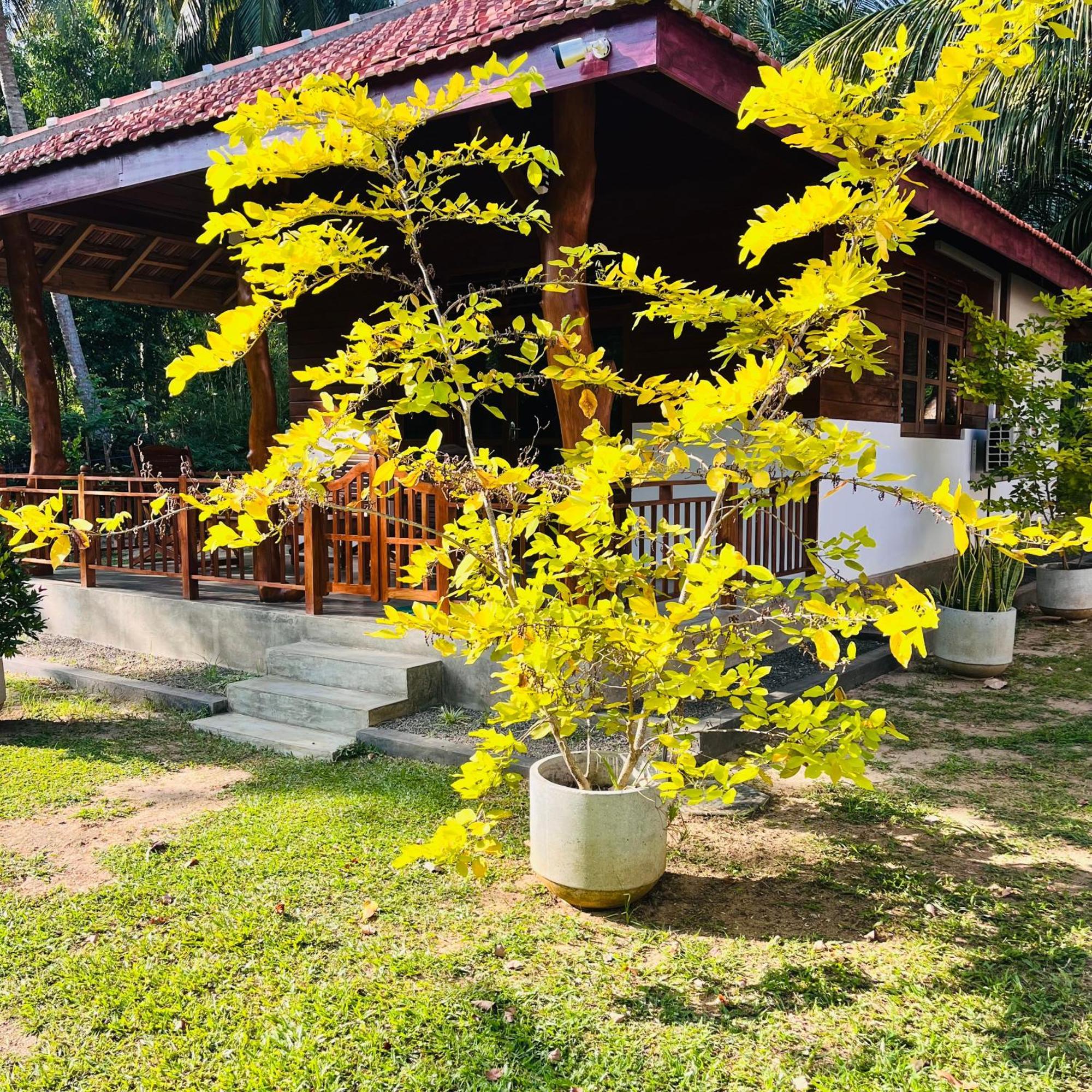 Hanguk Lanka Lagoon Villa Tangalle Kültér fotó